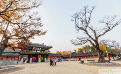[city tour] 정조와 문화 이야기가 담긴 수원 행궁동 걷기 여행