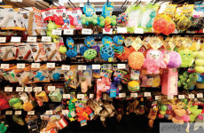 [pet] 반려동물과 집사들의 천국, 몰리스펫샵