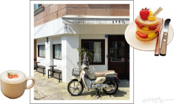 [taste] 몰디브 대신 카페 투어