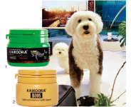 [pet] 사료만으로는 부족해! 우리 집 댕냥이 필수 영양제