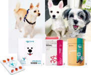 [pet] 사료만으로는 부족해! 우리 집 댕냥이 필수 영양제