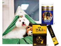 [pet] 사료만으로는 부족해! 우리 집 댕냥이 필수 영양제
