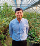 [issue] 샤인머스캣 당도 예전 같지 않은 이유