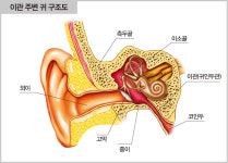 아이유 앓은 귀막힘증 치료, ‘한의사 vs 의사’ 해답은?