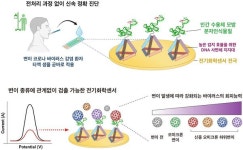 변이 코로나 침으로 감별…POSTECH, 변종 바이러스 진단 센서 개발