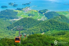 하동 가볼 만한 곳, 지리산과 섬진강이 빚어낸 겨울의 정취