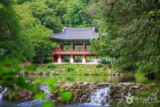 겨울에 가볼 만한 곳, 장성 백양사의 고요한 아름다움