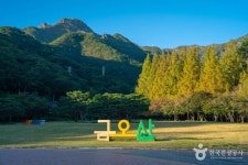 구미 가볼 만한 곳, 금오산의 웅장함과 도심의 활기가 어우러진 길