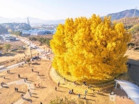 원주 가볼 만한 곳, 자연의 숨결과 미식이 어우러진 길