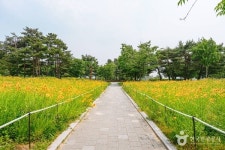 겨울에 가볼 만한 곳, 수원 서호공원의 고요한 설경