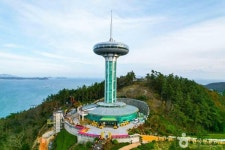 완도 가볼 만한 곳, 다도해의 풍경과 해양 치유가 어우러진 겨울