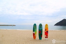 겨울에 가볼 만한 곳, 거제의 푸른 바다와 활기 넘치는 체험