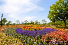 순천 가볼 만한 곳, 다채로운 체험과 미학이 흐르는 여정