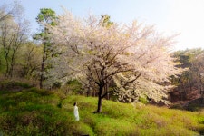인천 남동구 가볼 만한 곳, 자연과 체험이 어우러진 주말 나들이