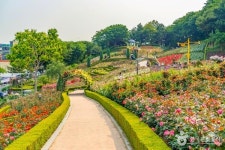 부천 가볼 만한 곳, 도심 속 다채로운 자연과 문화의 조화