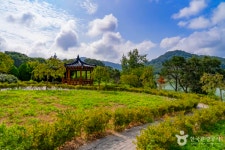 고요한 임실의 겨울, 고풍스러운 역사와 이색 체험이 흐르는 길