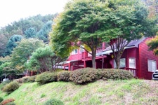 원주 가볼 만한 곳, 자연과 예술이 어우러진 도심 속 산책