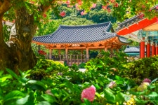 포항 명소, 바람이 빚어낸 해안 절경 속 문화 기행