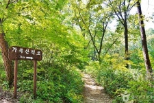 바람 부는 문경, 옛길과 숲길 따라 걷는 겨울 여행의 낭만