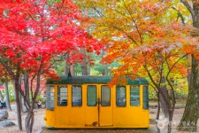 양양 가볼 만한 곳, 전통 시장과 이국적인 해변이 만나는 곳