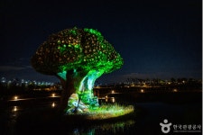 파주 가볼 만한 곳, 임진각에서 만나는 평화로운 겨울 풍경