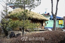 도깨비 촬영지인 동구 금곡동(금곡동 달동네) 배다리 헌책방거리..