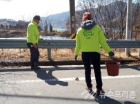 섬진강 두꺼비 길 위의 떼죽음 언제까지 반복될 것인가?