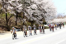 단양군, 사계절 녹색경관도시 조성