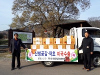 산청군 지리산대포정보화마을 곶감 미국 수출