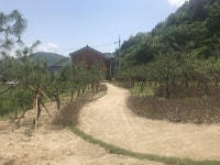 경남 함양군, 함양정신요양원 나눔숲 조성