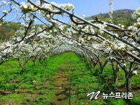 자연은 경이롭고 신비한 영역, 그것을 체험하는 것이 농장 체험의 핵심