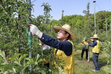 농협, 농촌 일손돕기로 農心 전달