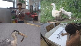 세상에 이런 일이 9살 볼링 신동-막장 거위 가족-미꾸라지 훔쳐먹는 왜가리-초정밀 볼펜 추상화