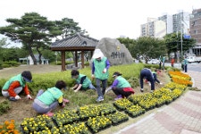 새마을운동합천군지회, 아름다운 합천가꾸기