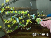 버드 앤 피쉬(Bired & Fish) 체험장 개장