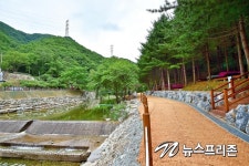 횡성 선바위자연캠핑장 6일 임시개장