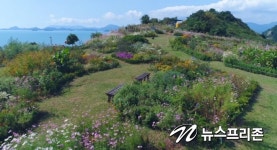 보고 즐기고 힐링까지 고흥 우주항공축제