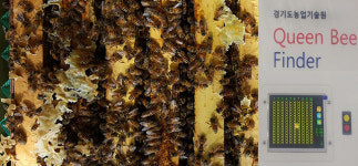 경기도, 여왕벌위치추적기 스마트 양봉기술 민간업체 기술이전