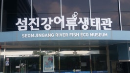 [남도여행 구례] 섬진강에서 만난 전라남도 섬진강어류생태관