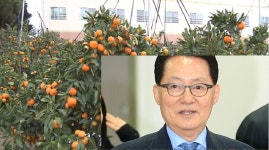 박지원 귤로 北에 답례한 문 대통령, 역시 잘했다.. 김정은, 연내 답방할 것