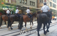 호주 시드니서 열린 환경시위 해양동물들과 시드니를 돌려달라