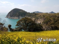 꽃보다 아름다운 전남의 섬...상춘객 마음 붙잡아