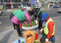 대구도심 곳곳을 아름다운 봄꽃으로  조성