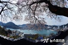 거제 새로운 관광지 장승포해안로 벚꽃 길