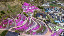 산청 제3회 생초국제조각공원 꽃잔디 축제 개최