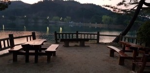 제천 의림지 난간 흔들리고 부서지고