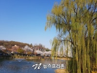 [NF 포토] 벚꽃 만개한 이천의 안흥지