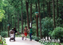 장흥에서 한 달간 살며 여행해보지 않을래요?