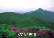 광양시는 주민 동의하에 백운산 국립공원지정을 추진할 것이다