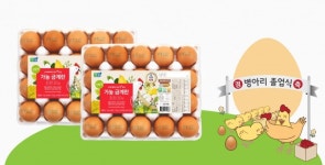 가농바이오㈜, 가농 금계란의 특별한 병아리 졸업식, 고객감사이벤트 개최 예정